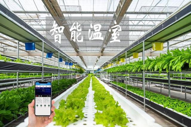 農(nóng)業(yè)物聯(lián)網(wǎng)賦能傳統(tǒng)大棚升級，手機管控溫濕度引領智能農(nóng)業(yè)新時代