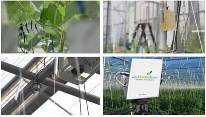 人工智能農(nóng)業(yè) 互聯(lián)網(wǎng)巨頭種黃瓜獲獎背后的技術革命