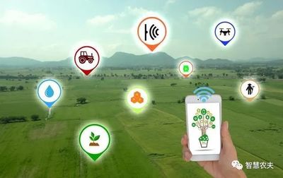 發(fā)展智慧農(nóng)業(yè) 實現(xiàn)鄉(xiāng)村振興 智能農(nóng)業(yè)管理的新路徑