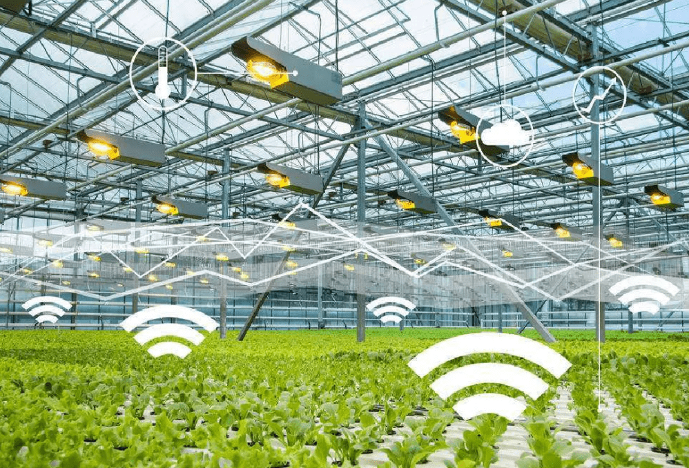 物聯(lián)網(wǎng)時代下，物聯(lián)卡在智慧農(nóng)業(yè)中的應用場景與特性解析