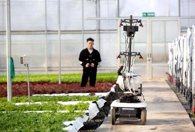 “農(nóng)智云”為廣陳美麗城鎮(zhèn)建設插上“數(shù)字”翅膀