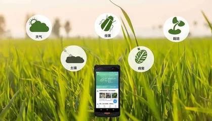 智慧農業 以智能管理引領農業現代化新征程